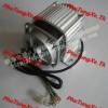 Đ.Cơ ko chổi than 48V 500W - anh 2